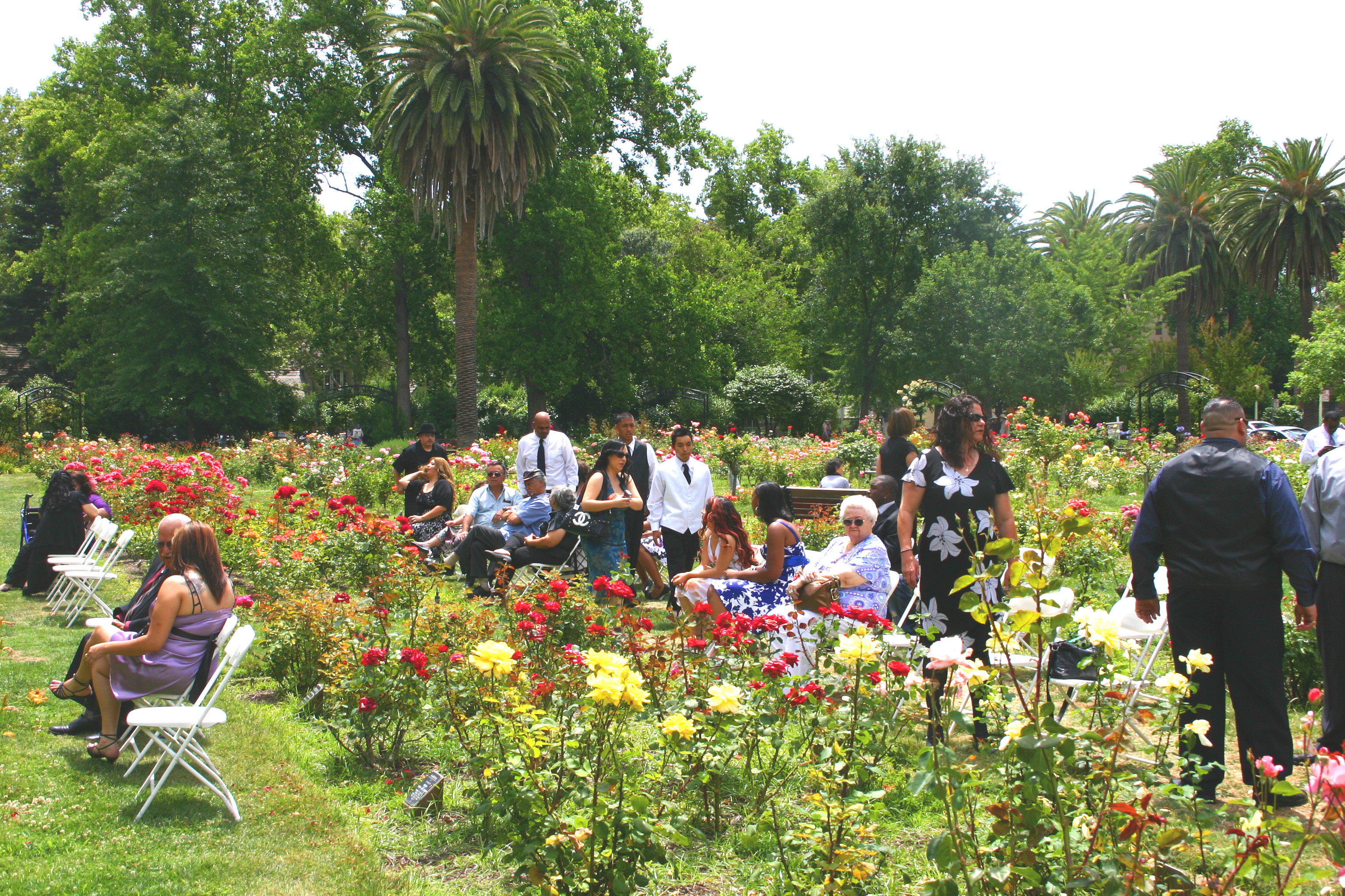 Mckinley Park Rose Garden A Cherished Community Landmark Valley