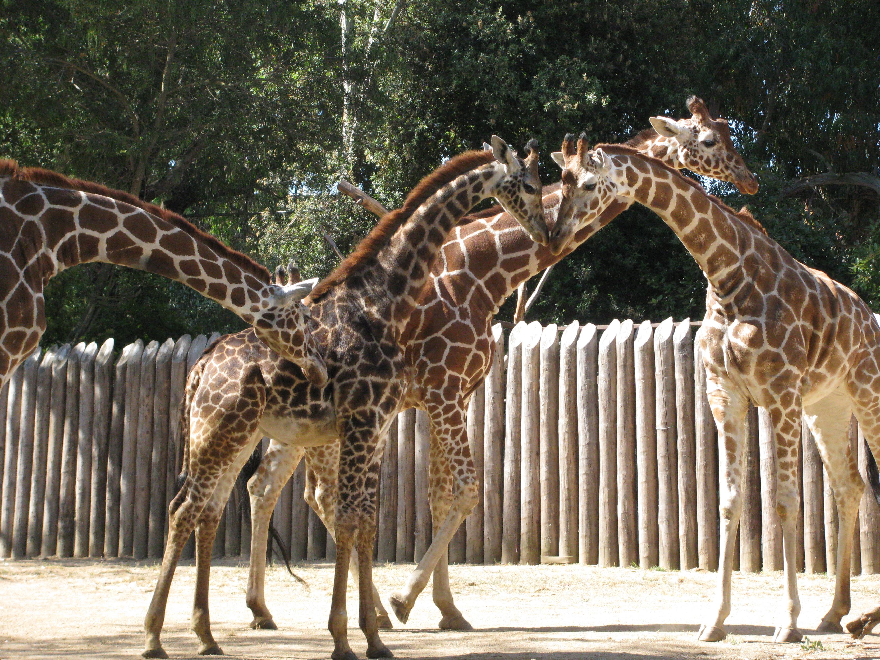 Sacramento Zoo Address Map