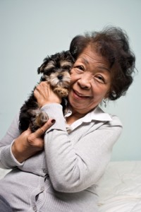 Imagine an older woman in her wheel chair; leaving her Natomas home in the morning with her little dachshund bundled up on her lap, switching between light rail and the bus for three hours to reach her destination point. The woman was bringing her dog to the Sacramento Society for the Prevention of Cruelty for Animals (SPCA) located at 6201 Florin Perkins Road, where a program called ?Senior Services? provides free pet vaccinations to senior citizens age 60 and over the first Wednesday of each month from 10 a.m. to 2 p.m. ?This woman arrived late and was incredibly grateful and gracious to us when we told her we would vaccinate her dog that day,? SPCA Senior Services Coordinator Shari Lowen said. ?Our goal is keeping seniors and their pets together.? Pet, senior needs met For many seniors, their life is their pet. ?No one can argue the benefits of keeping seniors and their pets together,? Lowen said. ?The senior program provides free vaccinations, nail trims, and pet adoptions.? The money saved on free pet vaccinations provide many seniors money needed for pet food. Lynn Humphries, ?A Sure Solution? consultant, thinks the SPCA Senior program is wonderful. ?Three years ago I received a call from a gentleman who had a sick dog and no money. At that time the SPCA didn?t have a senior program, so I split the cost of the veterinarian fees with a friend,? Humphries said. ?The man started crying when he found out his dog was going to be OK.? Meals on Wheels connection Humphries said the folks who volunteer with ?Meals on Wheels? keep their eyes open for seniors who might need assistance with a pet. Lori Olshaskie, Meals on Wheels? Social Services supervisor, said she has known seniors on fixed incomes who would rather see their pet eat than themselves. ?The level of love and commitment to their pets is amazing,? Olshaskie said. ?Especially when a person lives alone, having a pet makes a huge difference in that persons life.? Meals on Wheels is grateful for pet food donations and is willing to pick them up. Golf tournament The SPCA holds an annual golf tournament to raise money for the Senior Service program. It will take place Monday, May 9 at the Del Paso Country Club, presented by Hank Fisher. In addition to free vaccinations, the Senior Service program provides discounted dog training, free telephone assistance with dog and cat behavior issues and discounted private animal behavior consultations. They also provide quarterly estate planning seminars that include information about options for pets in the event the owner is no longer here to care for them. Future programs Lowen said the SPCA is working on a program where volunteers go to the senior?s home and provide whatever services his or her pet might need, such as transportation to the veterinarian because many seniors no longer drive. The SPCA is trying to get volunteers together to walk dogs for folks who are immobile or not able to walk far. To learn more, call the Sacramento SPCA at (916) 383-7387 or visit www.sspca.org. 