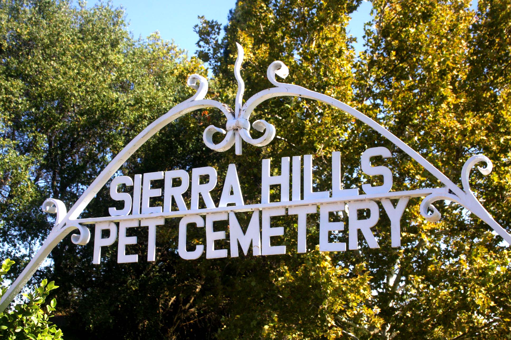 Cemetery On Greenback Lane