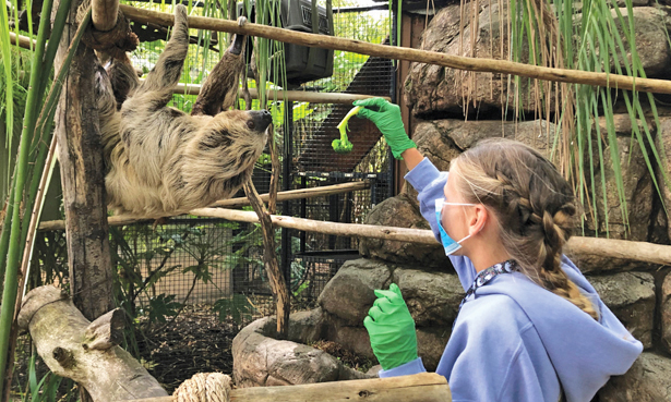The Sacramento Zoo offers behind-the-scenes tours | Valley Community  Newspapers, Inc.