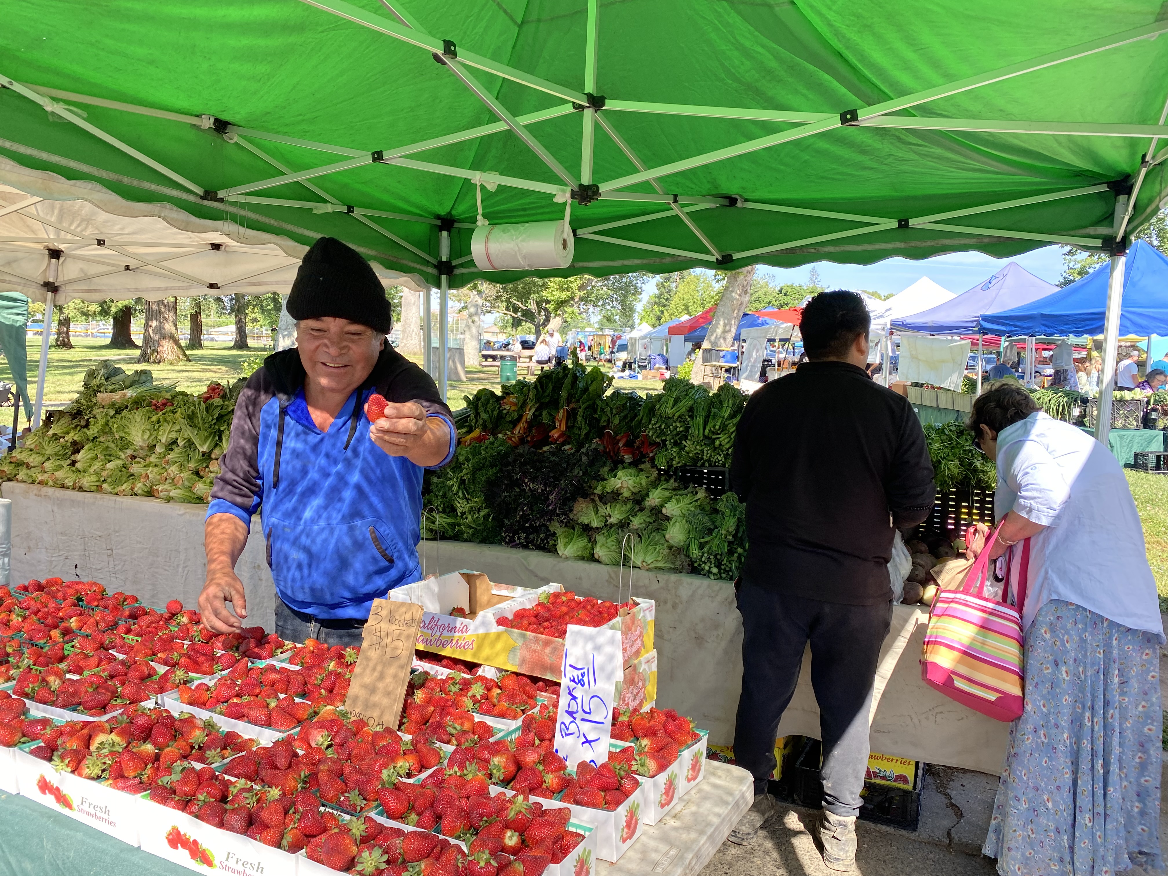 McKinley Park Farmers’ Market to open June 25